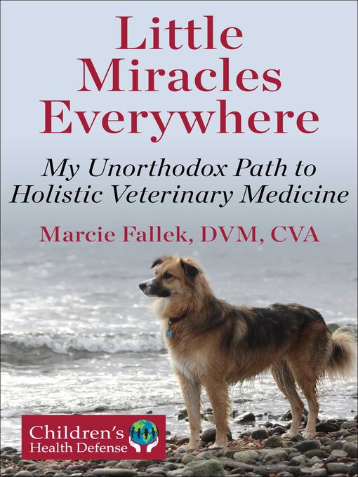Title details for Little Miracles Everywhere by Marcie Fallek - Wait list